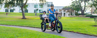 Thumbnail for NewModernTrends E-Trikes Emojo Caddy PRO