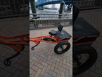 Addmotor M-360 Electric Trike