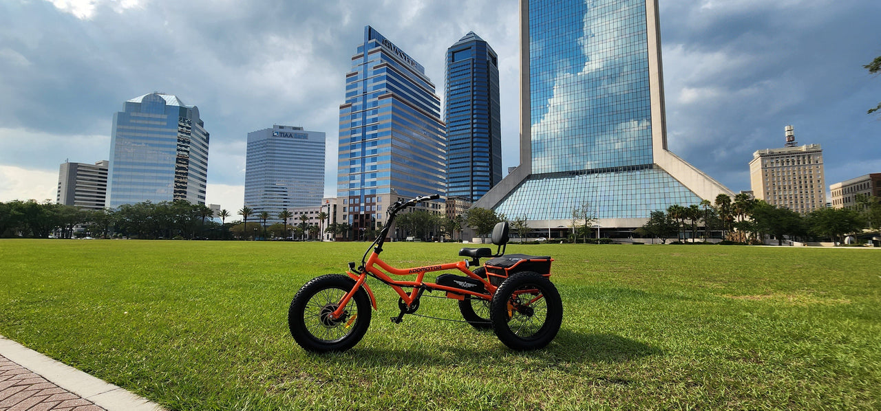 New Modern Trends E-Trikes Addmotor M-360 Electric Trike in Jacksonville