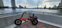 Thumbnail for New Modern Trends E-Trikes Addmotor M-360 Electric Trike