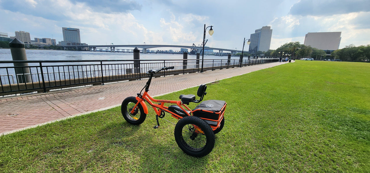 New Modern Trends E-Trikes Addmotor M-360 Electric Trike